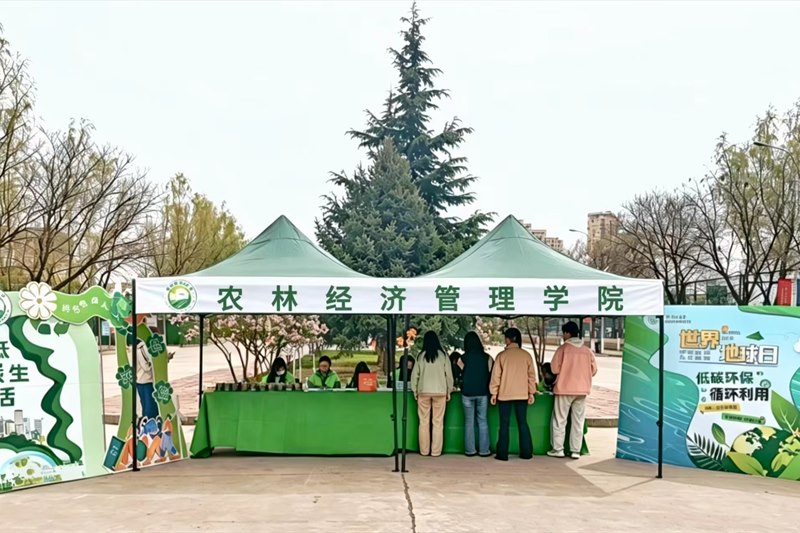 春日校园